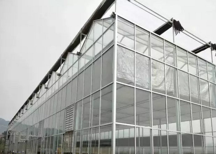 China Large Glass Greenhouse For Farm Aquaculture Livestock Breeding Ecological Restaurant wholesale