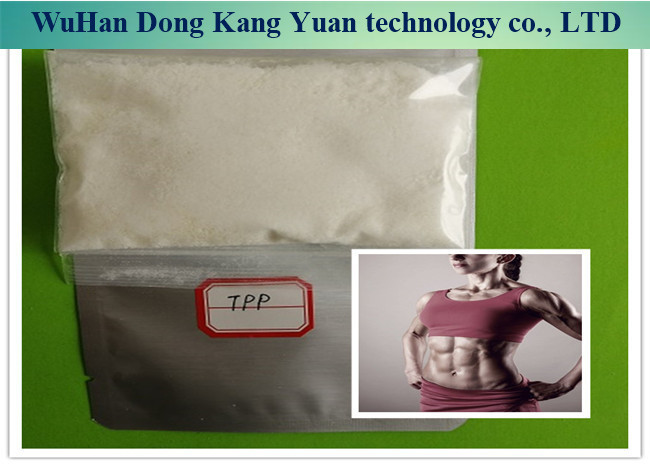 China 1255-49-8 Steroid Hormone Powder 99% Testosterone Phenylpropionate Powder wholesale