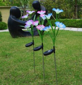 China Outdoor Solar Powered 4LED Multi Color Changing Morning Glory Lights Pink Blue Purple wholesale