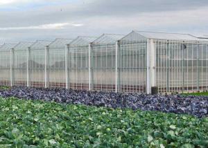 China Hydroponic Planting Agricultural Polycarbonate Greenhouse wholesale