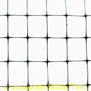 China Extruded BOP Bird Protection Net anti mole netting with UV Stabilizer wholesale