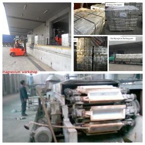 China high quality Mg≥99.9% Metal Magnesium for aluminium alloy/ billets producion wholesale
