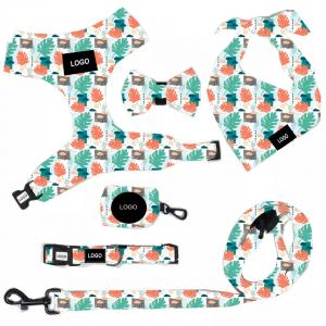 China Fashion Printing Pet Harness Set For Dog Quick Release Sustainable wholesale