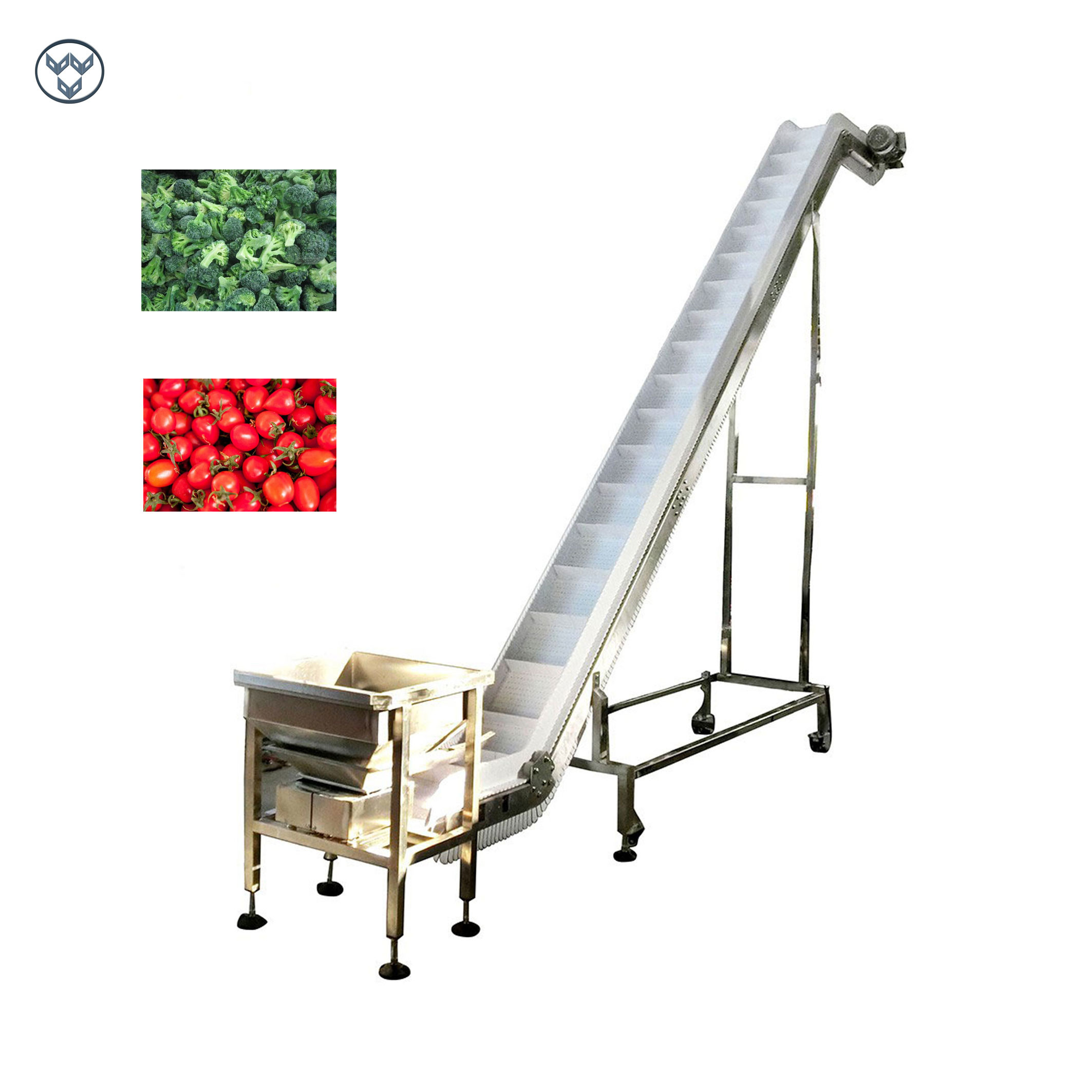 China Vegetable Fruit Frozen Food Inclined Conveyor Automatic Belt Chain Conveying wholesale