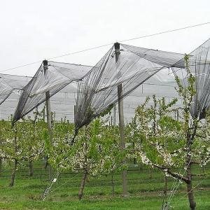 China Polyester mesh fabric white plastic anti hail net for greenhouse 5m width wholesale
