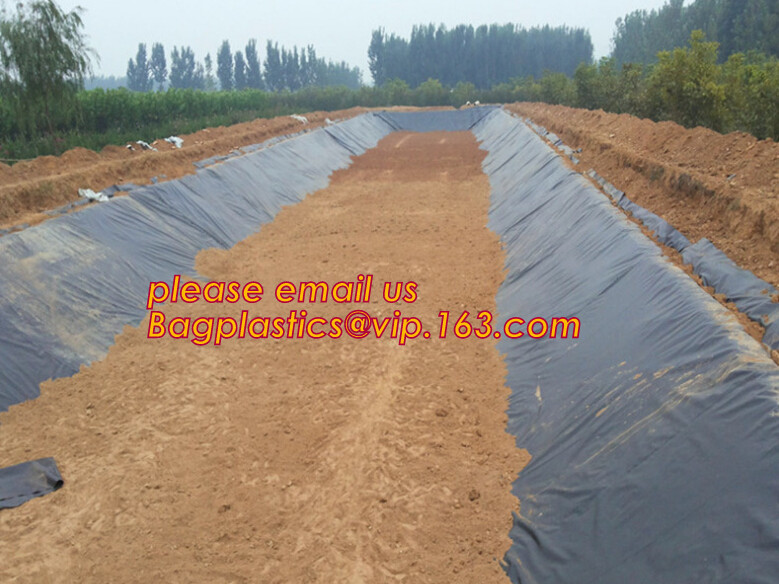 China eco-friendly hdpe geomembrane liner geomembrane price,eco-friendly hdpe geomembrane liner waterproofing membranes BAGEAS wholesale