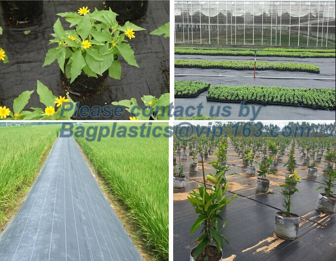 China Water management weeb control pavement preservation courtyard beautify anti insect anti mold seedbed protection vegetati wholesale