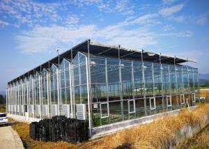 China Multi Span Fully Automatic Greenhouse Large Size With Hydroponic System wholesale
