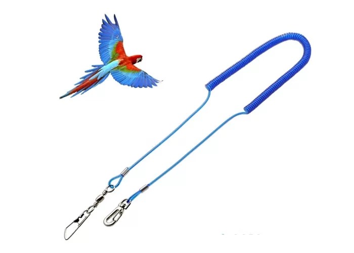 China Retractable Steel Reinforced Parrot Safe Rope , Safty Bungee Lanyard Strech 3 Meters wholesale