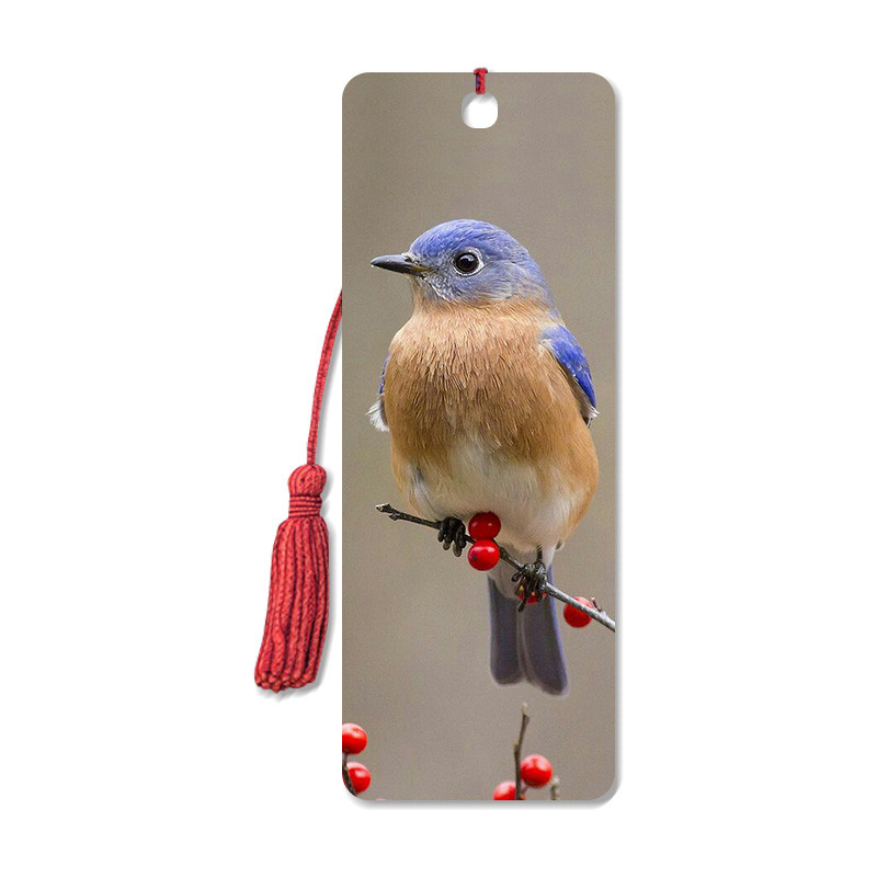 China Bird Design 3D Animal Bookmarks With Two Side CMYK Printing / Personalised Bookmarks For Schools wholesale