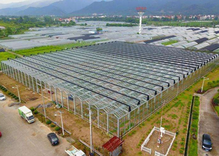 China Irrigation Clear Glass Tomatoes Shade Greenhouse wholesale