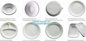 China Disposable corn starch plates, biodegradable corn starch food container, biobased food tray wholesale