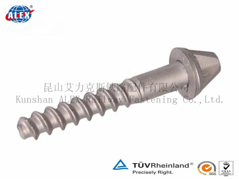 China Railway Professional Fasteners Supplier Screw Spike wholesale