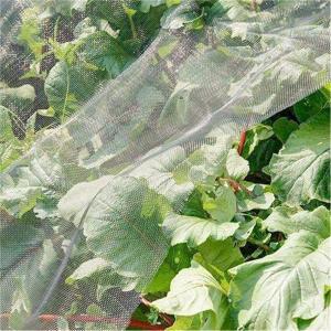 China 100% new 40 x 25 mesh plastic anti insect nets for greenhouse wholesale