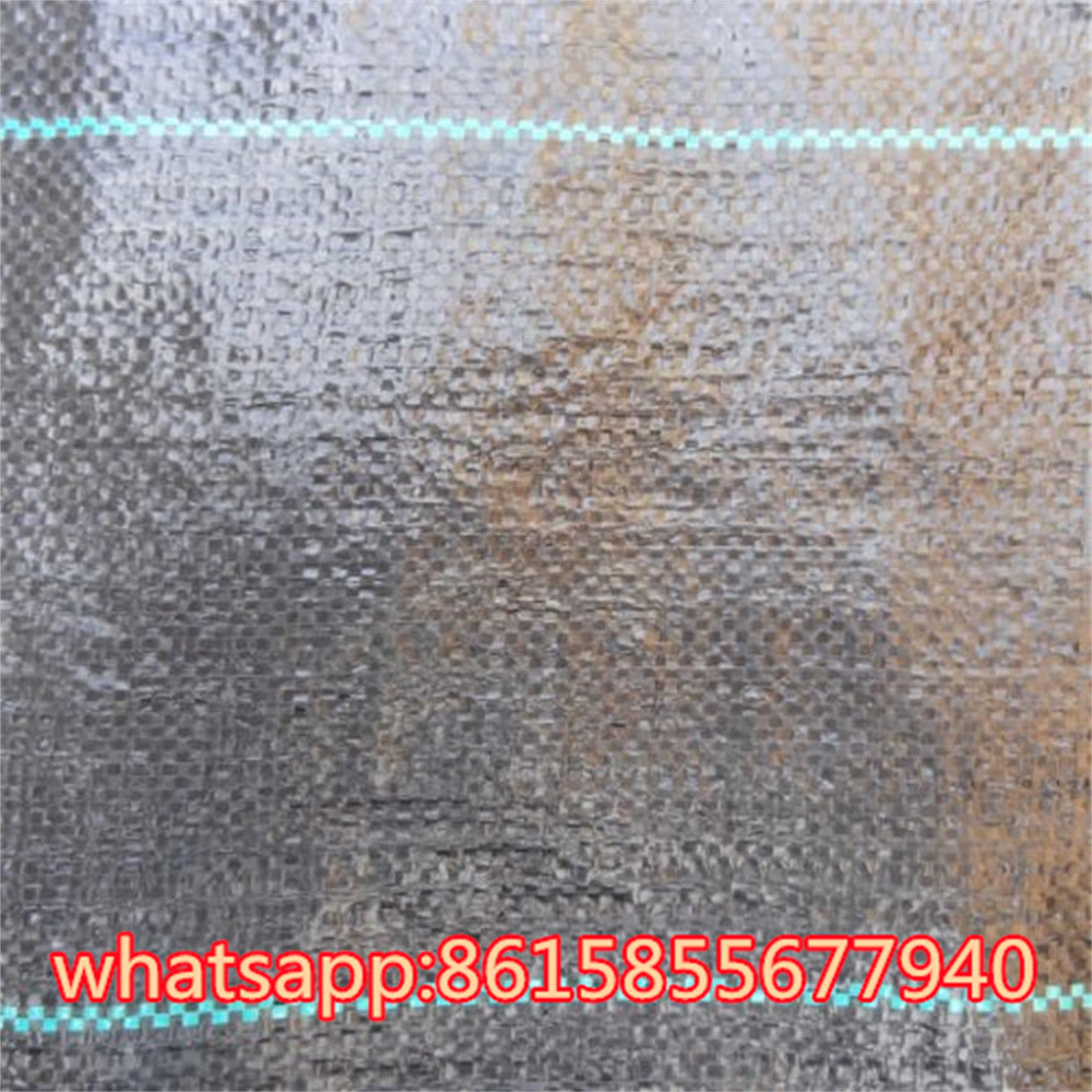 China garden ground cover fabric / weed barrier mat / plastic pp anti weed agro weed control wholesale