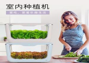 China Home Lettuce PP 24V Greenhouses Hydroponic Growing Systems wholesale