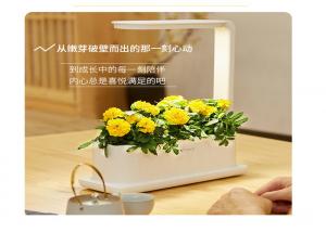 China Indoor Garden LED Cabbage PP Hydroponic Grow Kit wholesale