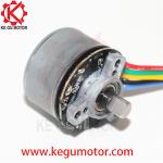 BL3025 12V DC Fascia Gun BLDC Motor Massager High Torque 30mm 35mm 37mm 38mm