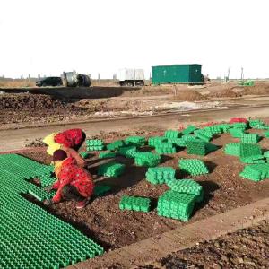 China Green Parking and Garden Honeycomb Gravel Grass Paver Manufactured from HDPE Plastic wholesale
