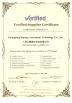 Guangdong Dapeng Amusement Technology Co., Ltd. Certifications