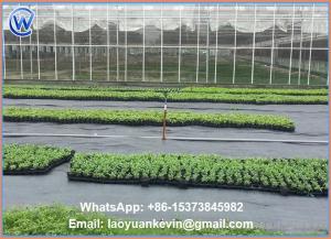 China Ground Cover Net Commercial Grade 880 Sq Ft Roll Landscape &amp; Erosion Control Fabric wholesale