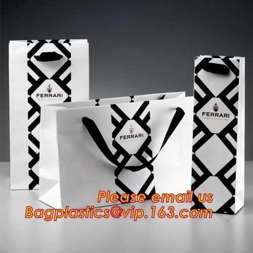Paper Gift Bags With Handles Matte Luxury Modern Fancy Elegant For Presents Merchandise Retail Boutique Clothing Wedding