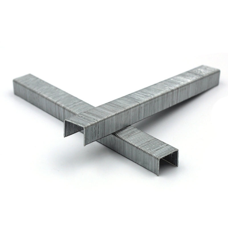 Top-Rated 21 Gauge Staple 1/2 Crown 12mm 80 Series 8012 Furniture Decoration
