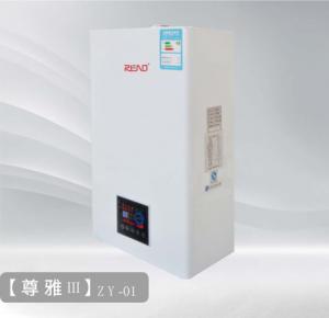 China 3C Wall Mounted Gas Boiler Modern Style Ng Lpg Gas Boiler Metal wholesale