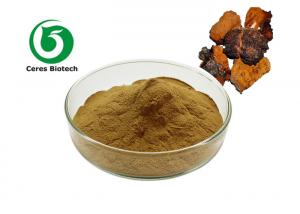 China Brown HPLC Antioxidant Chaga Mushroom Extract Powder wholesale