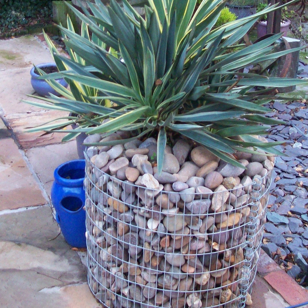 Custom Sized Welded Gabion Planter Baskets Landscape Mesh For Garden Design