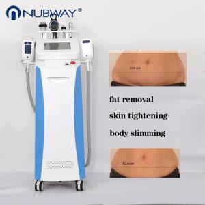 China Fat freezing 360 degree criolipolisis 4 handles liposuction belly fat reducing machine wholesale