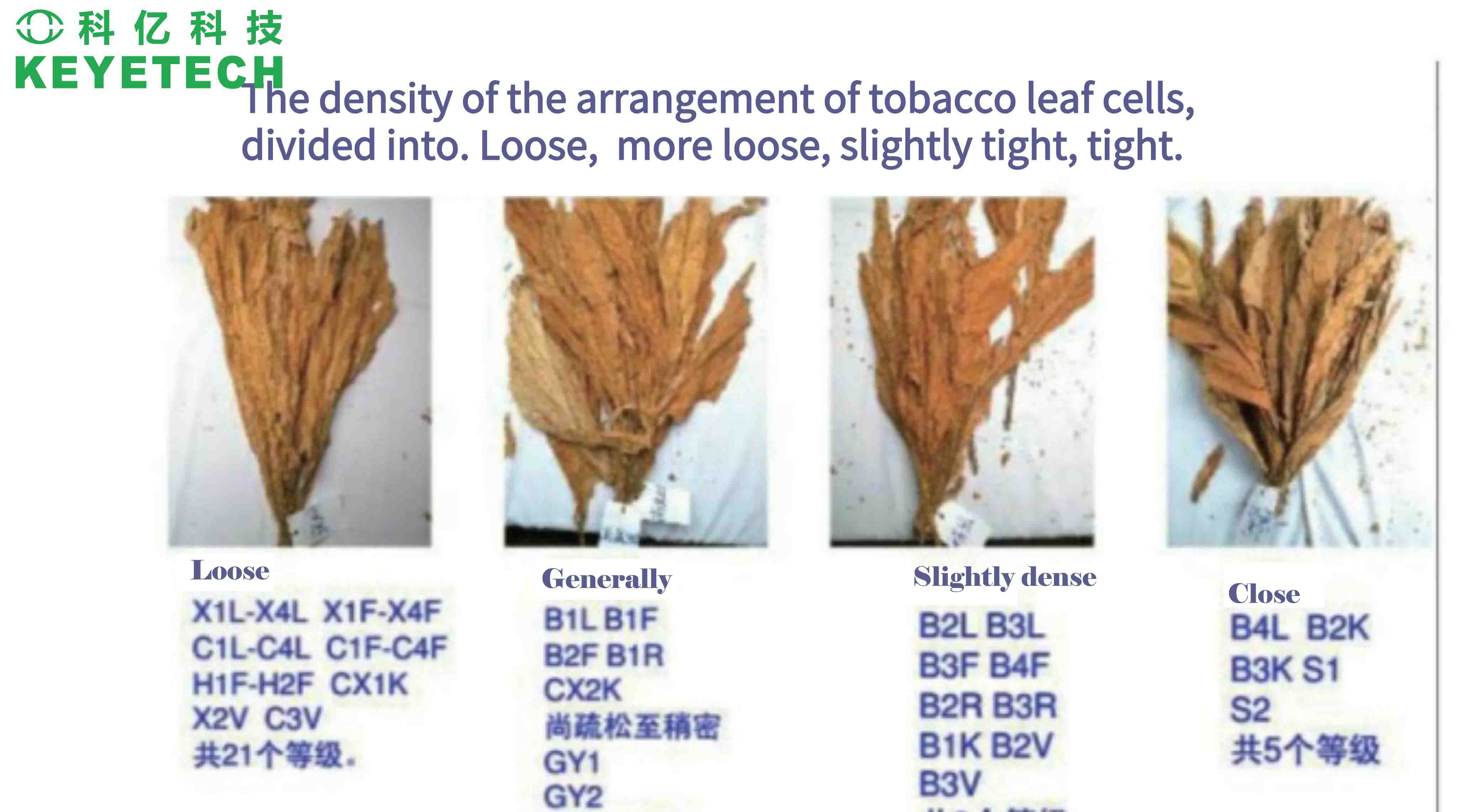 Tobacco Vision Sorting Machine Quality Inspection With Linear Array Camera