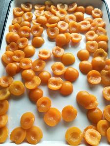 China China Canned Food Organic Canned Peeled Apricot Halves In Syrup wholesale