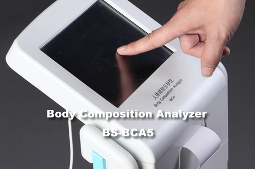 BS-BCA5_screen.jpg