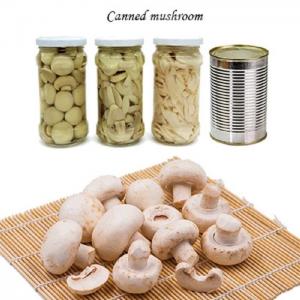 China Champignon Mushroom Canned Fruits Vegetables Champing Mushroom Slices on sale