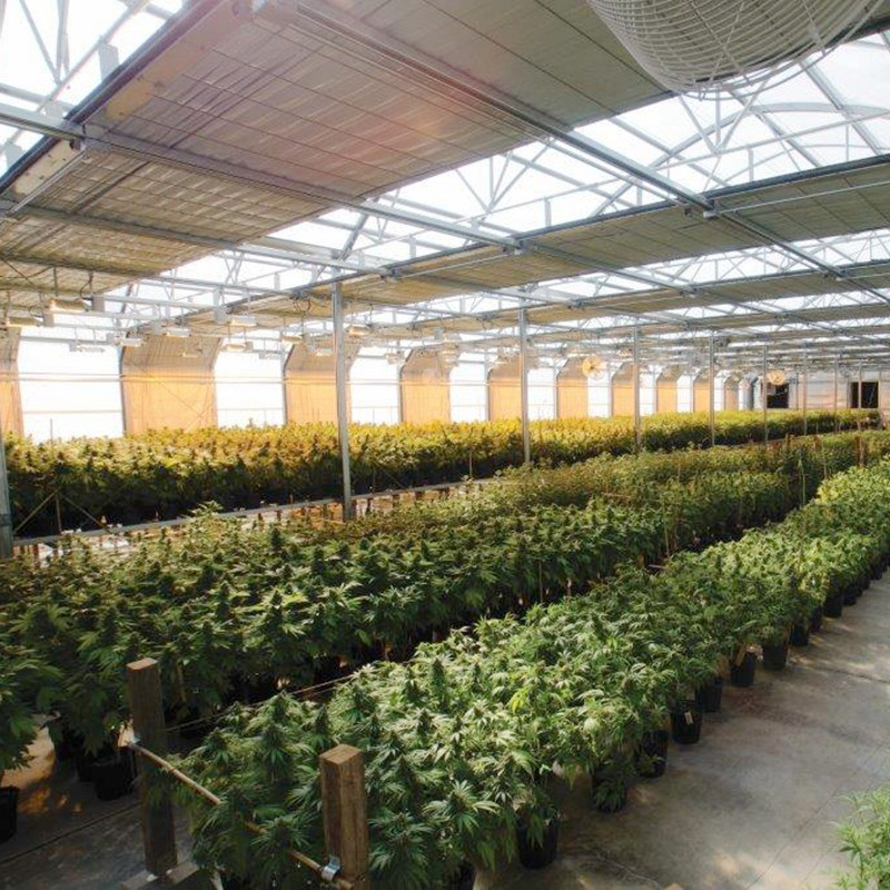 Polycarbonate Light Deprivation Mushroom Greenhouse Blackout With Irrigation System