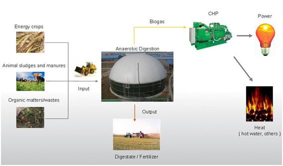 Biogas Storage Tank Superior EPC Turnkey Supplier for Waste Biogas Power Full Packaged System