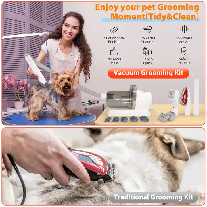 Household Pet Hair Brushes Cat Dog Grooming Sets Fashion Style Cleaning Supplies