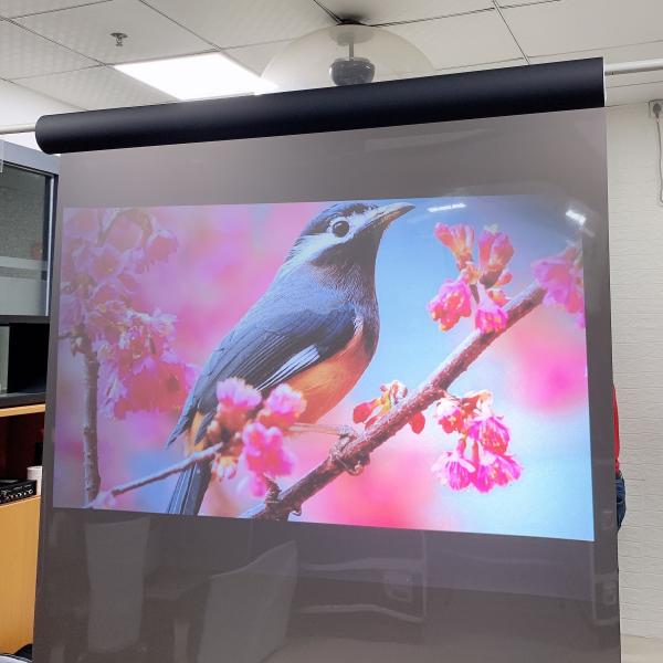 Projection Screen Vinyl Fabric Korea Touch Transparent Rear Projection Film