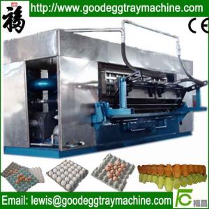 China Egg Tray Forming Machine on sale
