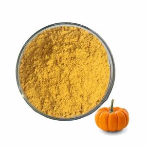 China Healthy Foods Dehydrated Dried Pumpkin Powder With ISO Certification wholesale