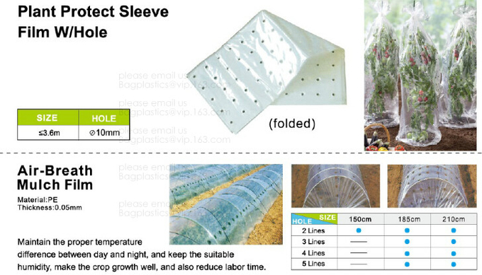 Weed Control Mulch Film, Agriculture Vegetable Black PE Films, 5 Holes Greenhouse Perforated Film
