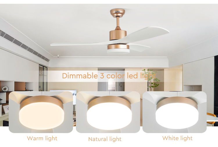 ceiling fan