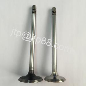 China Silvery &amp; Black P40 Nissan Intake And Exhaust Valve 13202-58000 13202-58002 wholesale
