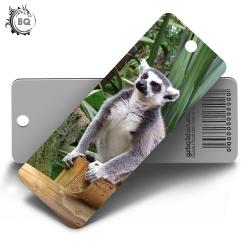 China 3d Cartoon Bookmark Lenticular Flip 2 Images Changed For Souvenirs & Gifts for sale