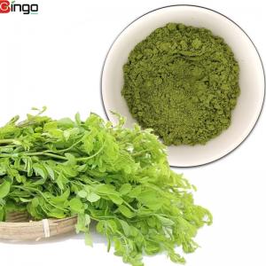China 100% Natural Organic Moringa Leaf Powder for Health Benefits moringa herbal extract and powder wholesale