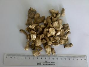 China HACCP Standard Dried Shiitake Mushrooms / Chinese Dried Mushrooms Leg Cubes wholesale