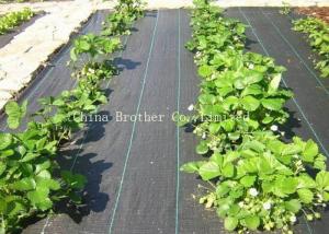 China 80gsm Non Woven Weed Control Fabric For Vegetables on sale