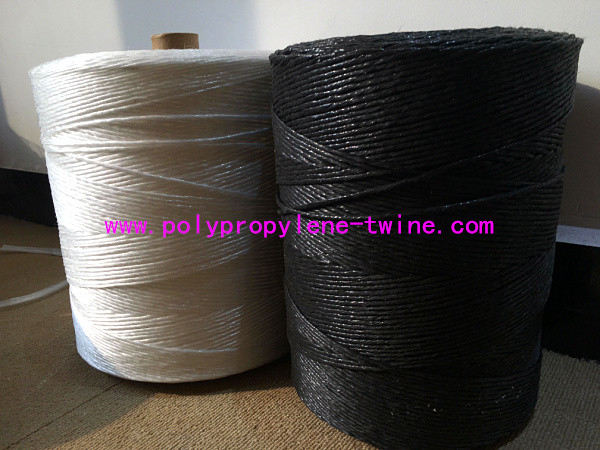 Fibrillated Twisted PP Filler Yarn Best Breaking Load Winding on Paper Tube