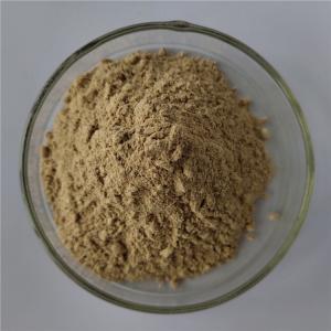 China wholesale chaga mushroom extract/chaga extract in bulk wholesale